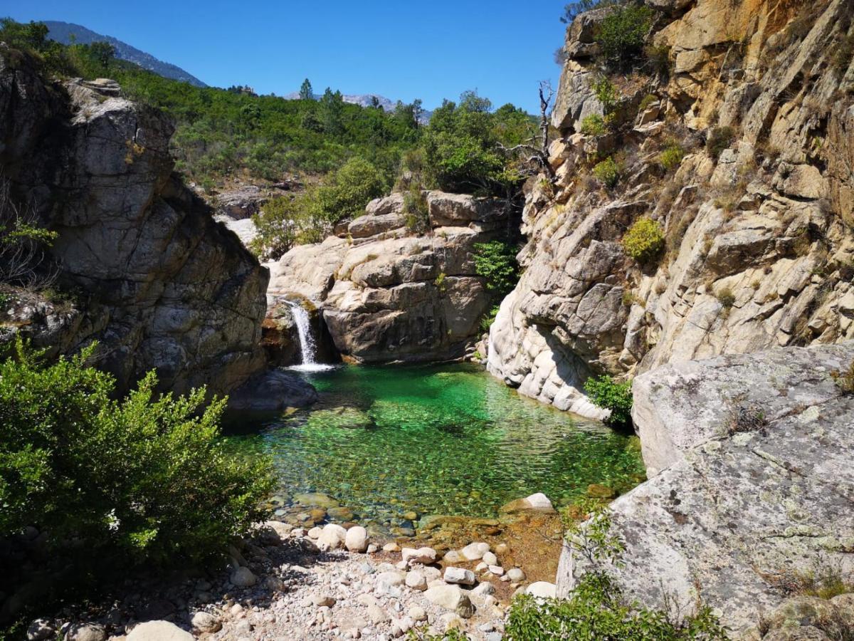 Un Petit Paradis Pinarellu Exteriér fotografie