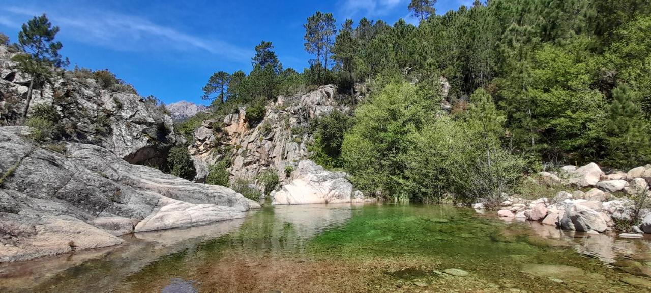 Un Petit Paradis Pinarellu Exteriér fotografie