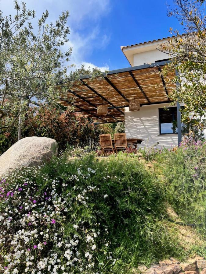 Un Petit Paradis Pinarellu Exteriér fotografie